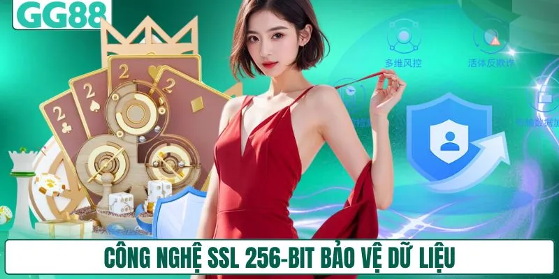 Công nghệ SSL 256-bit bảo vệ dữ liệu